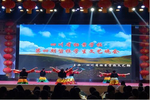 濃情五月 激揚(yáng)青春――我校團(tuán)委舉辦第四期留校學(xué)生文藝晚會